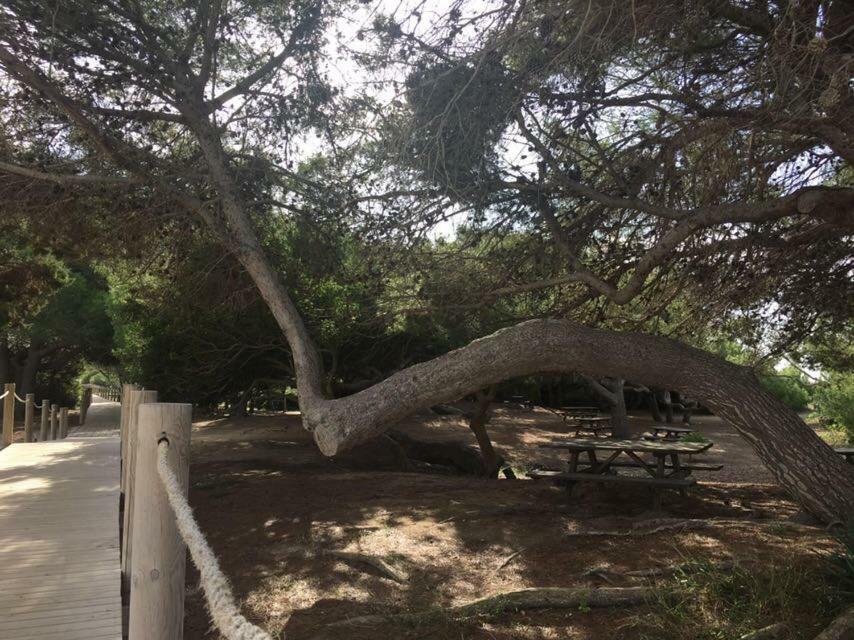Apartamento El Descanso Son Bou Εξωτερικό φωτογραφία